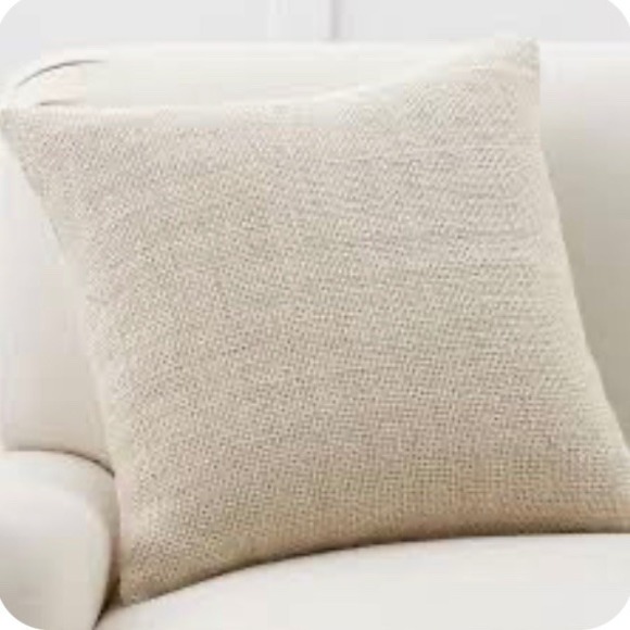 2 Pottery Barn Faye‎ Pillow Cover 30